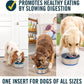 Dog Slow Feeder Bowl Insert